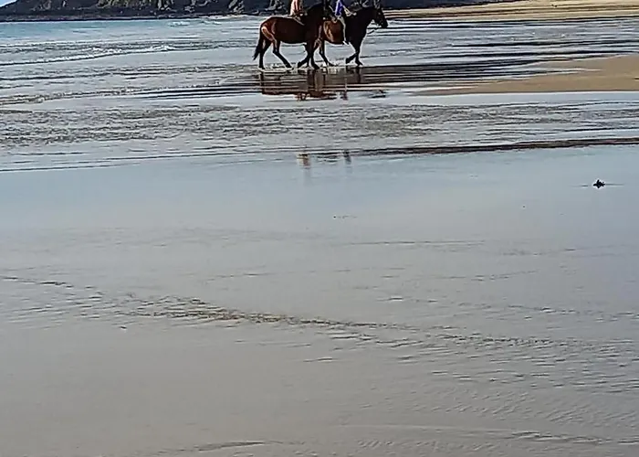 Nyaraló Maison 100m De La Les Pieds Dans L'eau